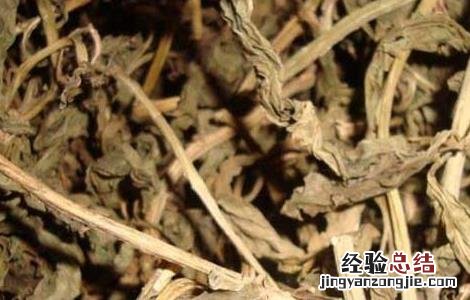 灵香草的功效与作用是什么 灵香草的功效与作用