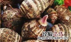 芋头多久浇一次水 芋头几天浇一次水