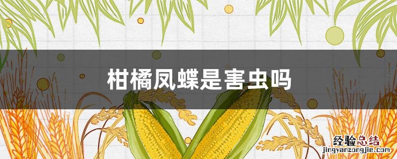 柑橘凤蝶幼虫是害虫吗 柑橘凤蝶是害虫吗