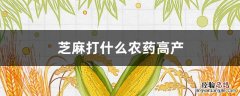 芝麻打什么药产量最高 芝麻打什么农药高产