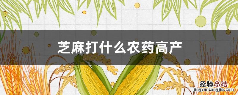 芝麻打什么药产量最高 芝麻打什么农药高产