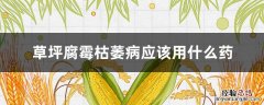 草坪夏天腐烂病用什么药根除 草坪腐霉枯萎病应该用什么药