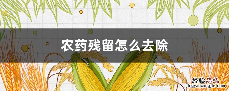 农药残留怎么去除 韭菜农药残留怎么去除