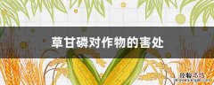 草甘磷对作物的害处 甘草磷对土壤有多大危害