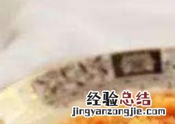 海参花的禁忌与副作用是什么 海参花的禁忌与副作用