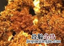 海参花的功效与作用价格 海参花的功效与作用