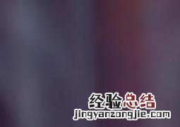 樟树叶的功效与作用是什么 樟树叶的功效与作用