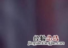 樟树叶的功效与作用是什么 樟树叶的功效与作用