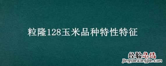 粒隆118玉米品种 粒隆128玉米品种特性特征