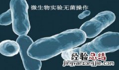 在组织培养实验中为什么要强调无菌操作? 无菌操作重要性