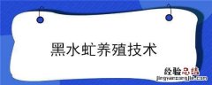 黑水虻养殖技术 黑水虻养殖技术视频