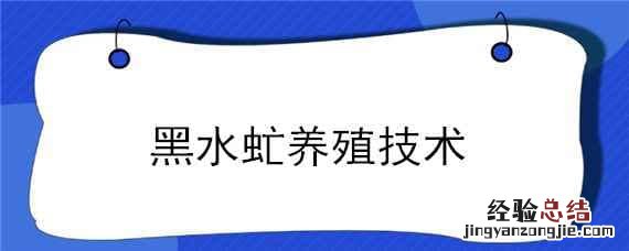 黑水虻养殖技术 黑水虻养殖技术视频