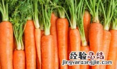 胡萝卜吃多了会怎样 胡萝卜吃多了的坏处介绍