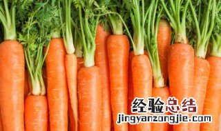 胡萝卜吃多了会怎样 胡萝卜吃多了的坏处介绍