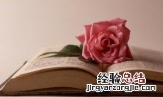 古籍线装书的制作流程 书的制作流程