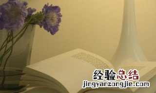 一本书的梗概怎么写 一本书的梗概怎么写五百字