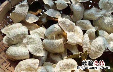陈皮有什么副作用 陈皮有什么副作用?陈皮哪些人不可以吃?