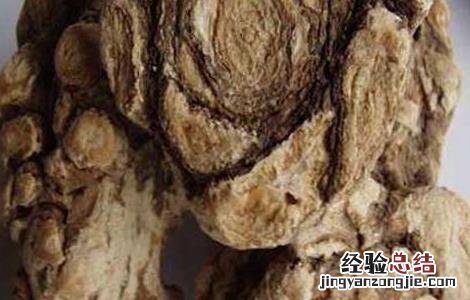 野当归的功效与作用及禁忌 野当归的功效与作用