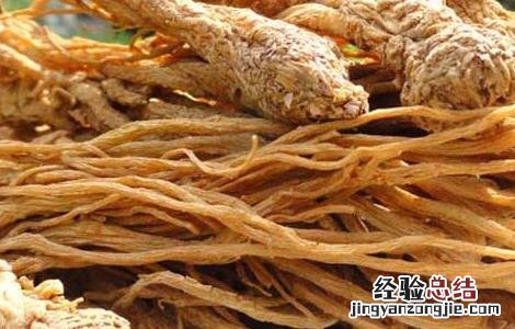 野当归的功效与作用及禁忌 野当归的功效与作用