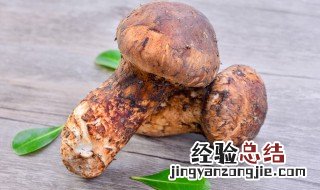松茸冷冻后怎么吃 冰冻了以后的松茸怎么吃