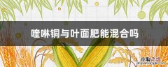 喹啉铜与叶面肥能混合吗 喹啉铜可以和硼肥混用吗