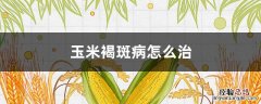 玉米褐斑病怎么治疗好 玉米褐斑病怎么治