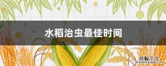 水稻治虫最佳时间 水稻什么时候治虫防病