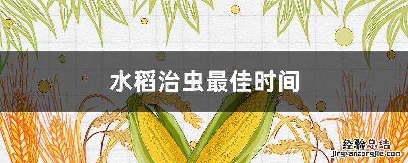 水稻治虫最佳时间 水稻什么时候治虫防病