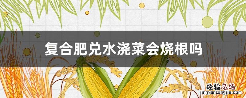 复合肥料兑水会烧根吗 复合肥兑水浇菜会烧根吗