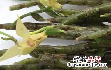 鲜石斛的功效与作用 复方鲜石斛的功效与作用