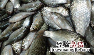 气压多低不适合钓鱼 气压较低时如何钓鱼