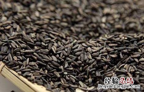 牛蒡子的功效与作用的功能与主治与用量 牛蒡子的功效与作用
