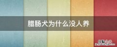腊肠犬为什么没人养 为啥养腊肠犬的越来越少