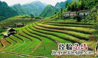 如何承包农村闲余土地 其实很简单