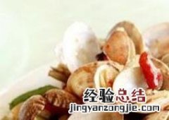 文蛤的功效与作用图片 文蛤的功效与作用