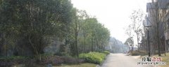 绿地翠谷属于哪个街道 绿地翠谷对面的小区