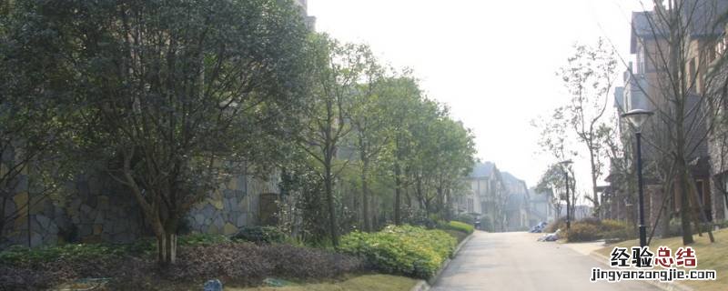 绿地翠谷属于哪个街道 绿地翠谷对面的小区