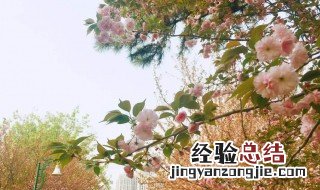 诗人认为一年之中最好的季节是什么 诗人告诉我们什么是一年中最美好的季节