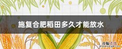 复合肥在田里面几天能放水 施复合肥稻田多久才能放水