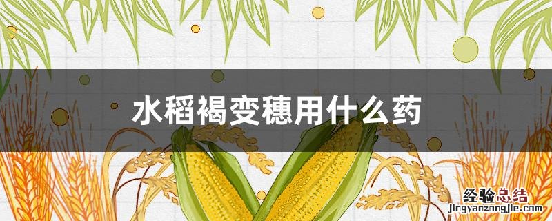 水稻褐变穗病 水稻褐变穗用什么药