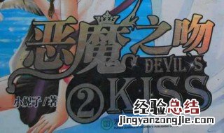 小妮子 作家 小妮子的已出版书
