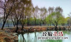 四园春景描写的是什么季节 个园春夏秋冬四个景