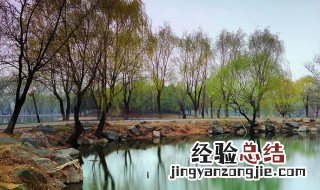 四园春景描写的是什么季节 个园春夏秋冬四个景
