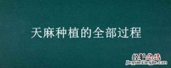 天麻种植的全部过程图 天麻种植的全部过程