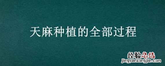 天麻种植的全部过程图 天麻种植的全部过程