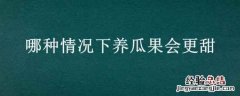 哪种情况下养瓜果会更甜 哪种情况下养瓜果会更甜蚂蚁庄园