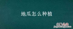 地瓜怎么种植 凉暑地瓜怎么种植
