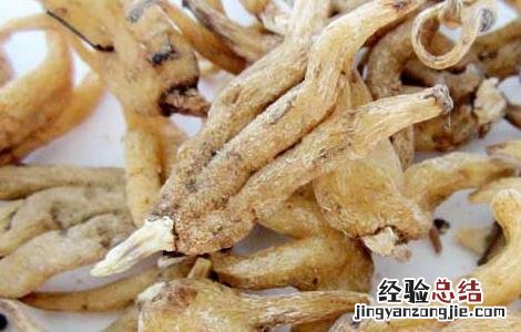 佛手参的功效与作用 佛手参的功效与作用图片