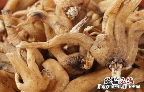 佛手参的功效与作用 佛手参的功效与作用图片