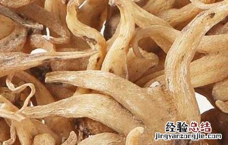 佛手参的功效与作用 佛手参的功效与作用图片